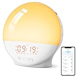 Image of ecozy E80S sunrise alarm clock