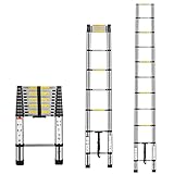 Another picture of a telescopic ladder