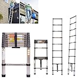 Image of DICN HV-VH-201 telescopic ladder