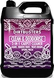 Image of Dirtbusters DB-000101 upholstery cleaner