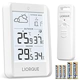 Image of LIORQUE BJ8201-1 weather station